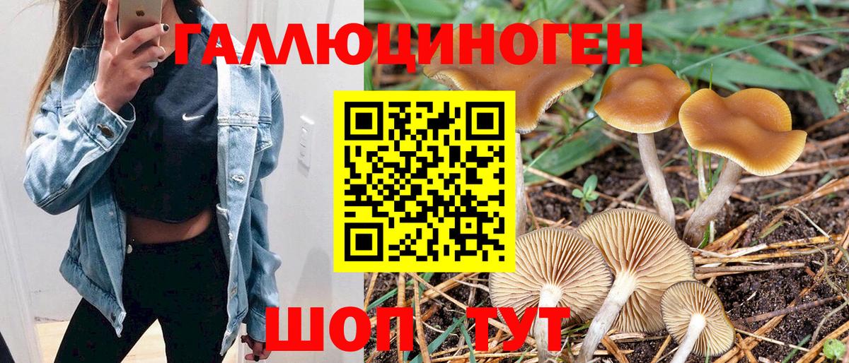 Псилоцибиновые грибы Psilocybe Острогожск