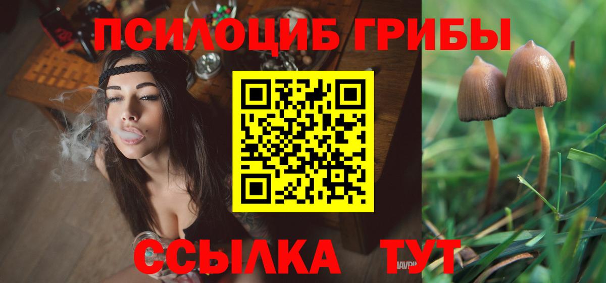 Острогожск  Псилоцибиновые грибы GOLDEN TEACHER  Вход с VPN 